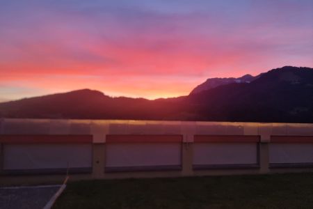 WhatsApp Image 2025-11-13 at 08.10.00.jpeg