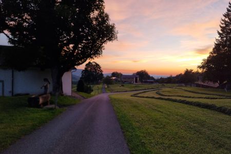 WhatsApp Image 2025-11-11 at 11.28.45.jpeg