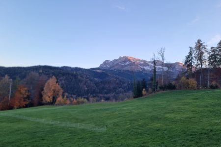 WhatsApp Image 2025-11-11 at 11.28.09 (2).jpeg