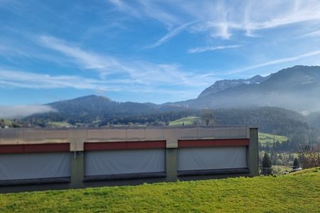 WhatsApp Image 2025-11-11 at 11.28.09.jpeg