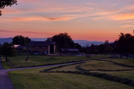 WhatsApp Image 2025-11-11 at 11.28.44 (2).jpeg