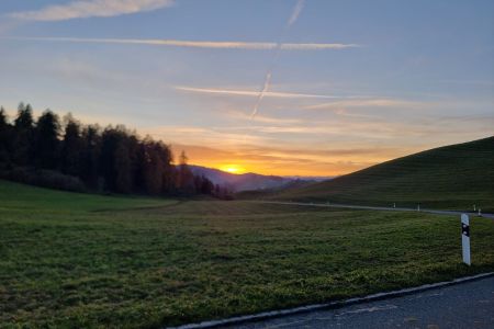 WhatsApp Image 2025-11-11 at 11.28.09 (3).jpeg