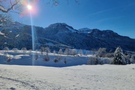 WhatsApp Image 2025-12-30 at 08.23.22.jpeg