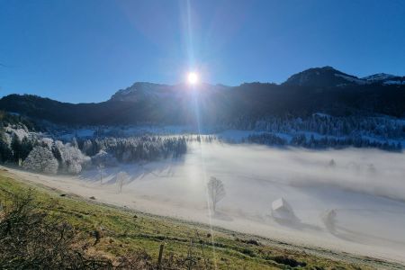 WhatsApp Image 2025-12-30 at 08.23.34.jpeg